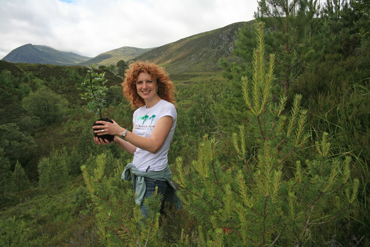 Glen Affric – Caledonian Forest restoration – Restore Our Planet